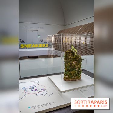 Exposition : Sneakers, les baskets entrent au musée, les photos