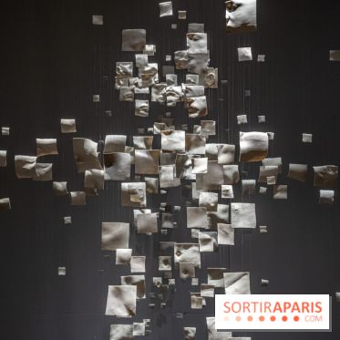 Exposition Aux frontières de l'humain au Musée de l'Homme