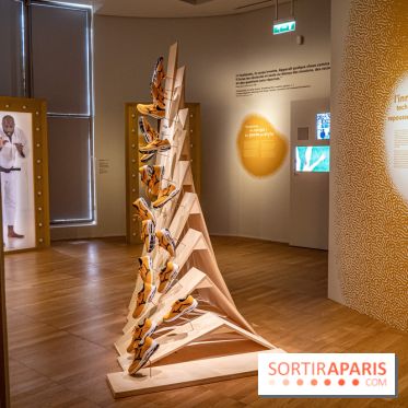 Exposition Aux frontières de l'humain au Musée de l'Homme