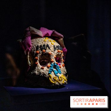 Exposition Aux frontières de l'humain au Musée de l'Homme