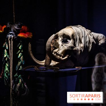 Exposition Aux frontières de l'humain au Musée de l'Homme