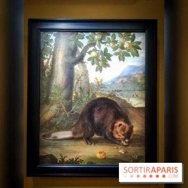 Les animaux du Roi, une exposition qui a du chien au Château de Versailles - nos photos