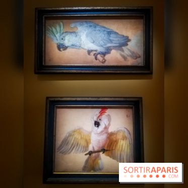 Les animaux du Roi, une exposition qui a du chien au Château de Versailles - nos photos