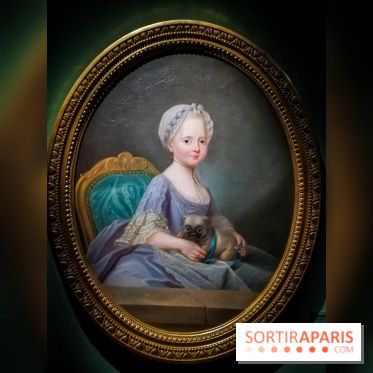 Les animaux du Roi, une exposition qui a du chien au Château de Versailles - nos photos