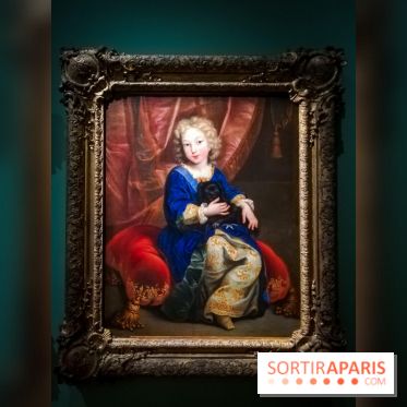 Les animaux du Roi, une exposition qui a du chien au Château de Versailles - nos photos