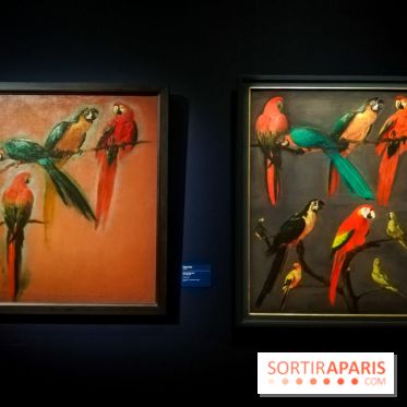 Les animaux du Roi, une exposition qui a du chien au Château de Versailles - nos photos