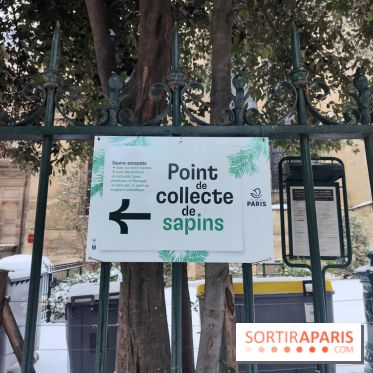 Visuel actualités - collecte sapin paris