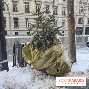 Visuel actualités - sapin jeté poubelle rue