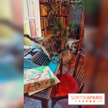 Shakespeare and Company, le café-librairie le plus anglais de Paris