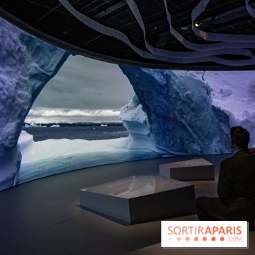 Photos : Odyssée sensorielle, l’expo immersive au Museum 