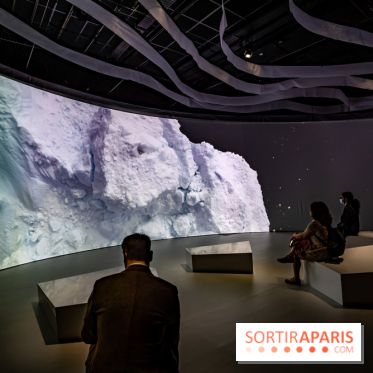 Photos : Odyssée sensorielle, l’expo immersive au Museum 