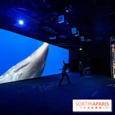 Photos : Odyssée sensorielle, l’expo immersive au Museum 
