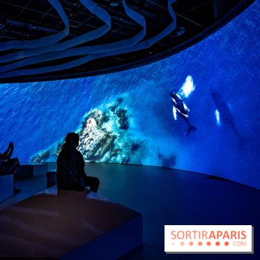 Photos : Odyssée sensorielle, l’expo immersive au Museum 