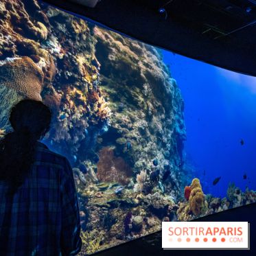 Photos : Odyssée sensorielle, l’expo immersive au Museum 