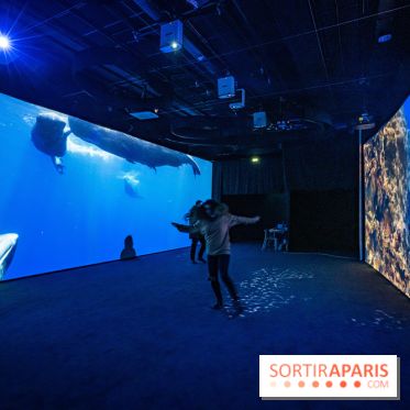 Photos : Odyssée sensorielle, l’expo immersive au Museum 
