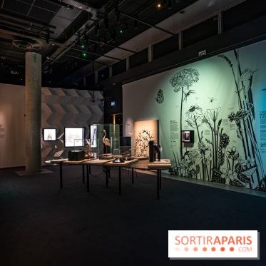 Photos : Odyssée sensorielle, l’expo immersive au Museum 