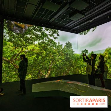 Photos : Odyssée sensorielle, l’expo immersive au Museum 
