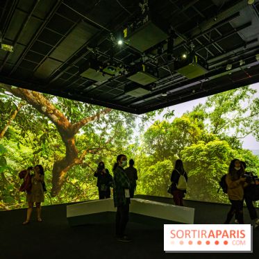 Photos : Odyssée sensorielle, l’expo immersive au Museum 