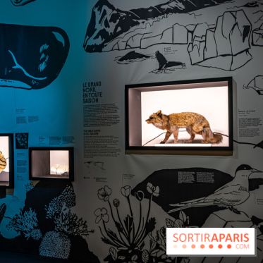 Photos : Odyssée sensorielle, l’expo immersive au Museum 