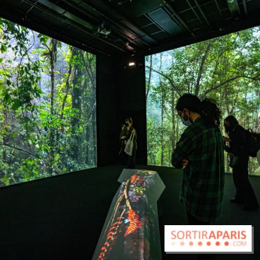 Photos : Odyssée sensorielle, l’expo immersive au Museum 