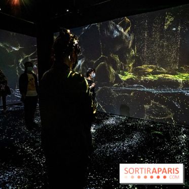 Photos : Odyssée sensorielle, l’expo immersive au Museum 