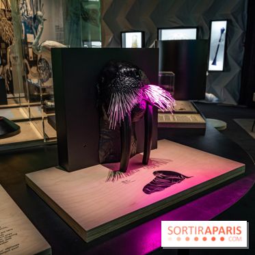 Photos : Odyssée sensorielle, l’expo immersive au Museum 