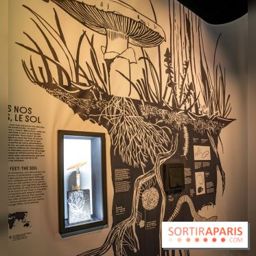 Photos : Odyssée sensorielle, l’expo immersive au Museum 