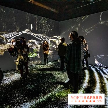 Photos : Odyssée sensorielle, l’expo immersive au Museum 