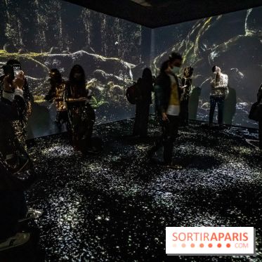 Photos : Odyssée sensorielle, l’expo immersive au Museum 