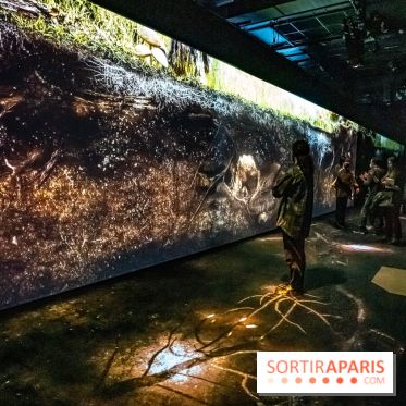 Photos : Odyssée sensorielle, l’expo immersive au Museum 