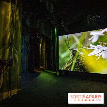 Photos : Odyssée sensorielle, l’expo immersive au Museum 