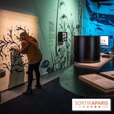 Photos : Odyssée sensorielle, l’expo immersive au Museum 