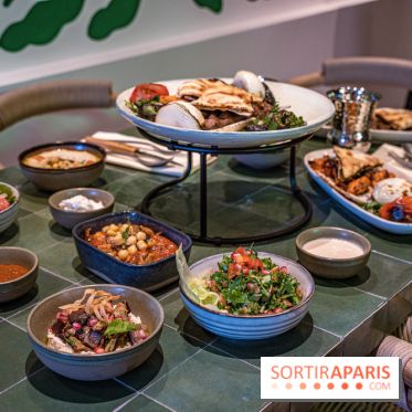 Qasti Shawarma & Grill