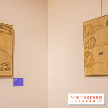 Asia Now 2021 : expositions Huong Dodinh et Thu-Van Tran au Musée Guimet