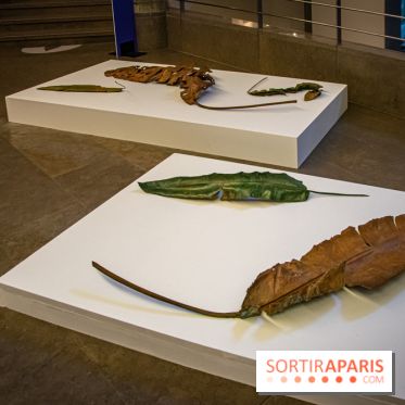 Asia Now 2021 : expositions Huong Dodinh et Thu-Van Tran au Musée Guimet