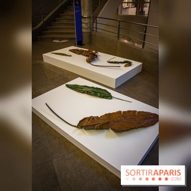 Asia Now 2021 : expositions Huong Dodinh et Thu-Van Tran au Musée Guimet