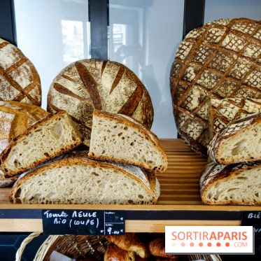 Basil à Paris, nos photos