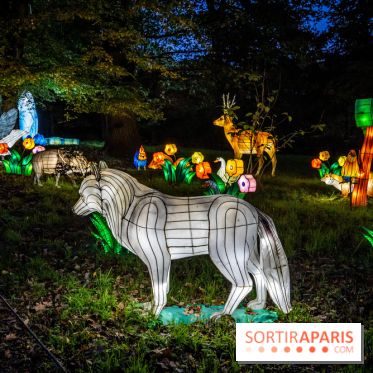 Thoiry Lumières Sauvages 2021-2022