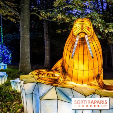 Thoiry Lumières Sauvages 2021-2022