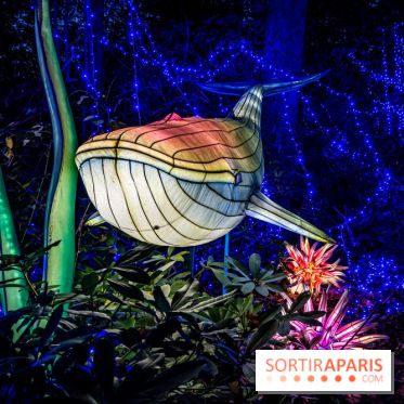 Thoiry Lumières Sauvages 2021-2022