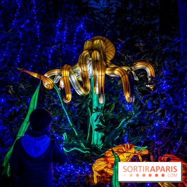 Thoiry Lumières Sauvages 2021-2022