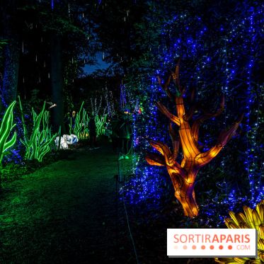 Thoiry Lumières Sauvages 2021-2022