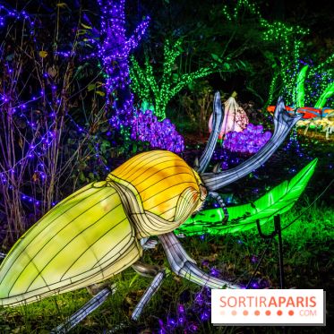 Thoiry Lumières Sauvages 2021-2022