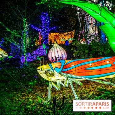 Thoiry Lumières Sauvages 2021-2022