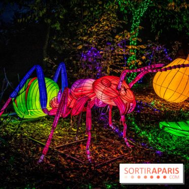 Thoiry Lumières Sauvages 2021-2022