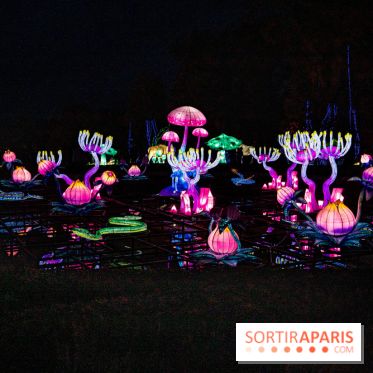 Thoiry Lumières Sauvages 2021-2022