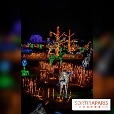 Thoiry Lumières Sauvages 2021-2022