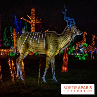 Thoiry Lumières Sauvages 2021-2022