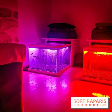 Un bar à sieste à Paris : offrez-vous un moment de détente avec ZZZen