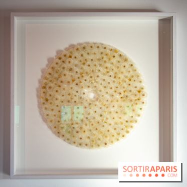 Le Musée Guimet propose une Carte blanche à Duy Anh Nhan Duc